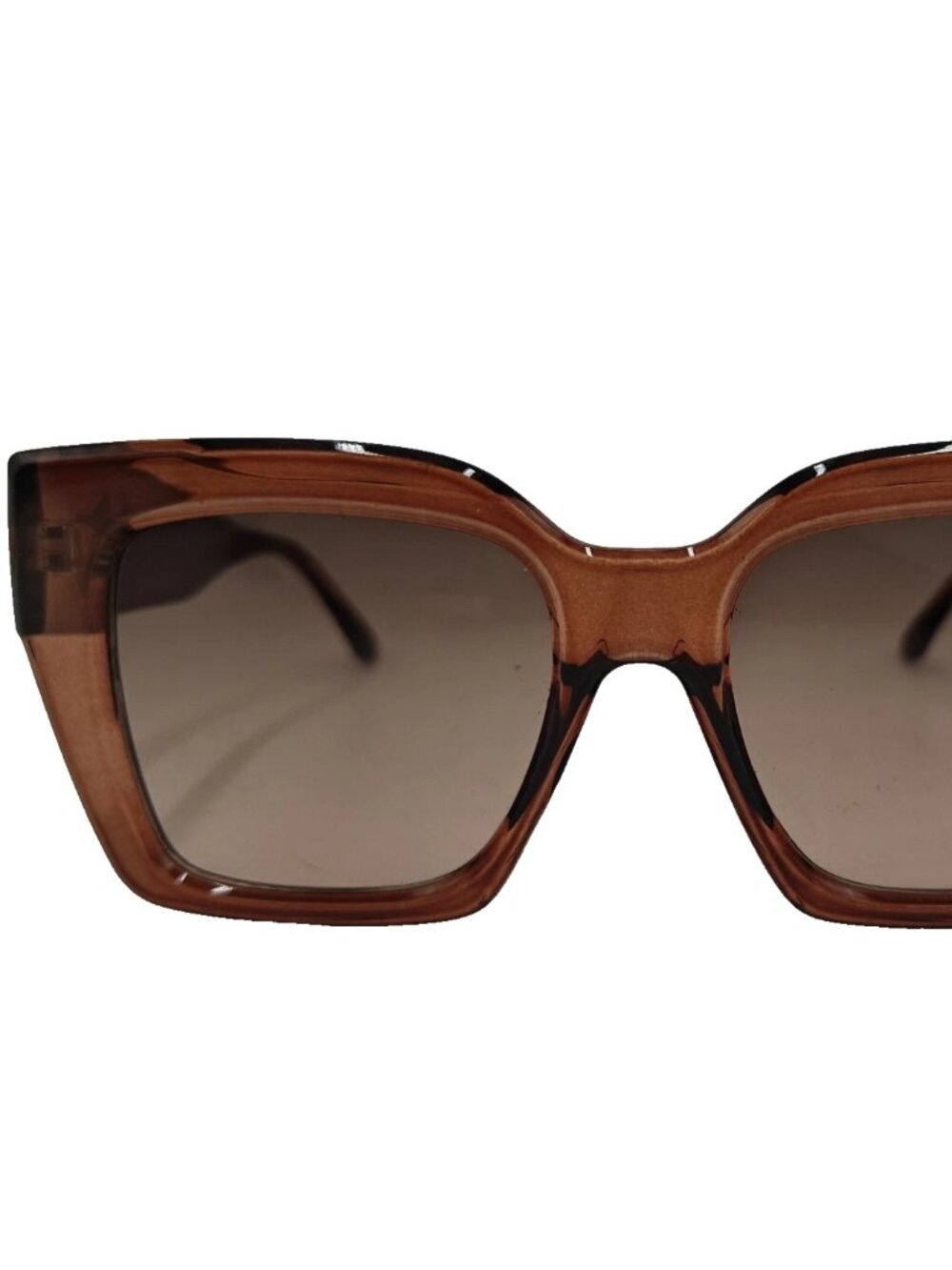 True Religion Womens Translucent Brown Oversized Sunglasses TR56395